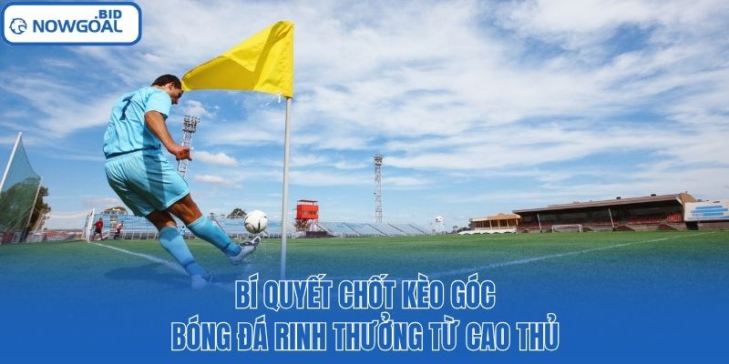 Bí quyết chốt kèo góc bóng đá rinh thưởng từ cao thủ