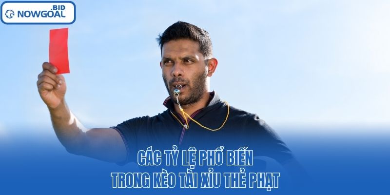 Các tỷ lệ phổ biến trong kèo tài xỉu thẻ phạt