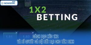 Cách Đọc Kèo 1x2 Và Bí Quyết Cá Độ Bất Bại Cho Tân Binh