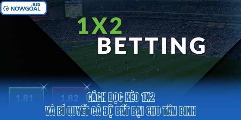 Cách Đọc Kèo 1×2 Và Bí Quyết Cá Độ Bất Bại Cho Tân Binh