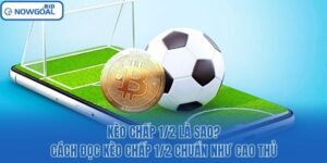 Kèo Chấp 1/2 Là Sao? Cách Đọc Kèo Chấp 1/2 Chuẩn Như Cao Thủ