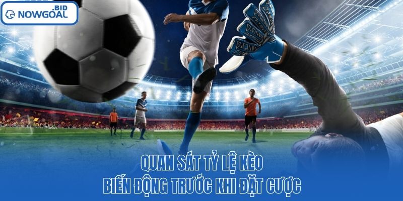 Quan sát tỷ lệ kèo biến động trước khi đặt cược