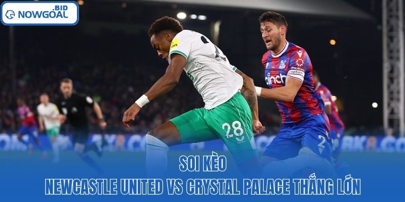 Soi kèo Newcastle United vs Crystal Palace thắng lớn