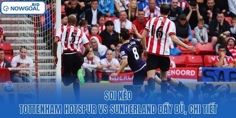 Soi kèo Tottenham Hotspur vs Sunderland đầy đủ, chi tiết