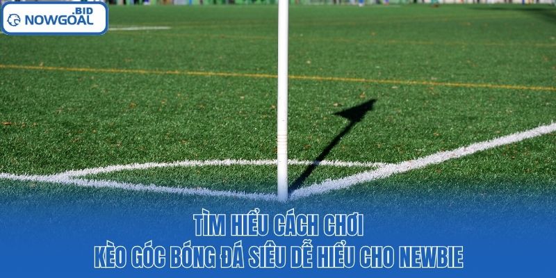 Tìm hiểu cách chơi kèo góc bóng đá siêu dễ hiểu cho newbie